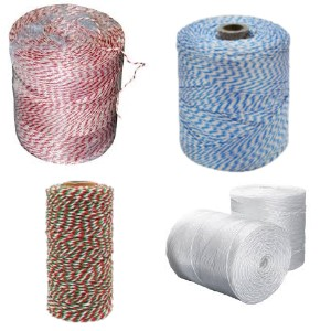 Twine category