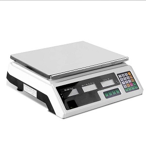 Bench Scales 40Kg Digital